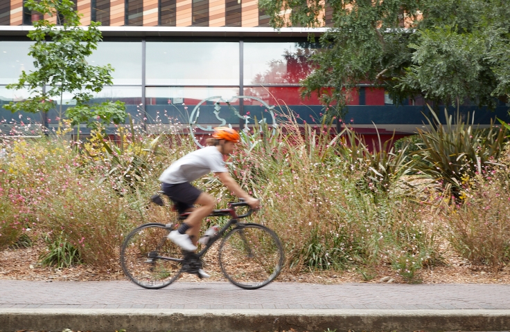 Cycling to UNSW