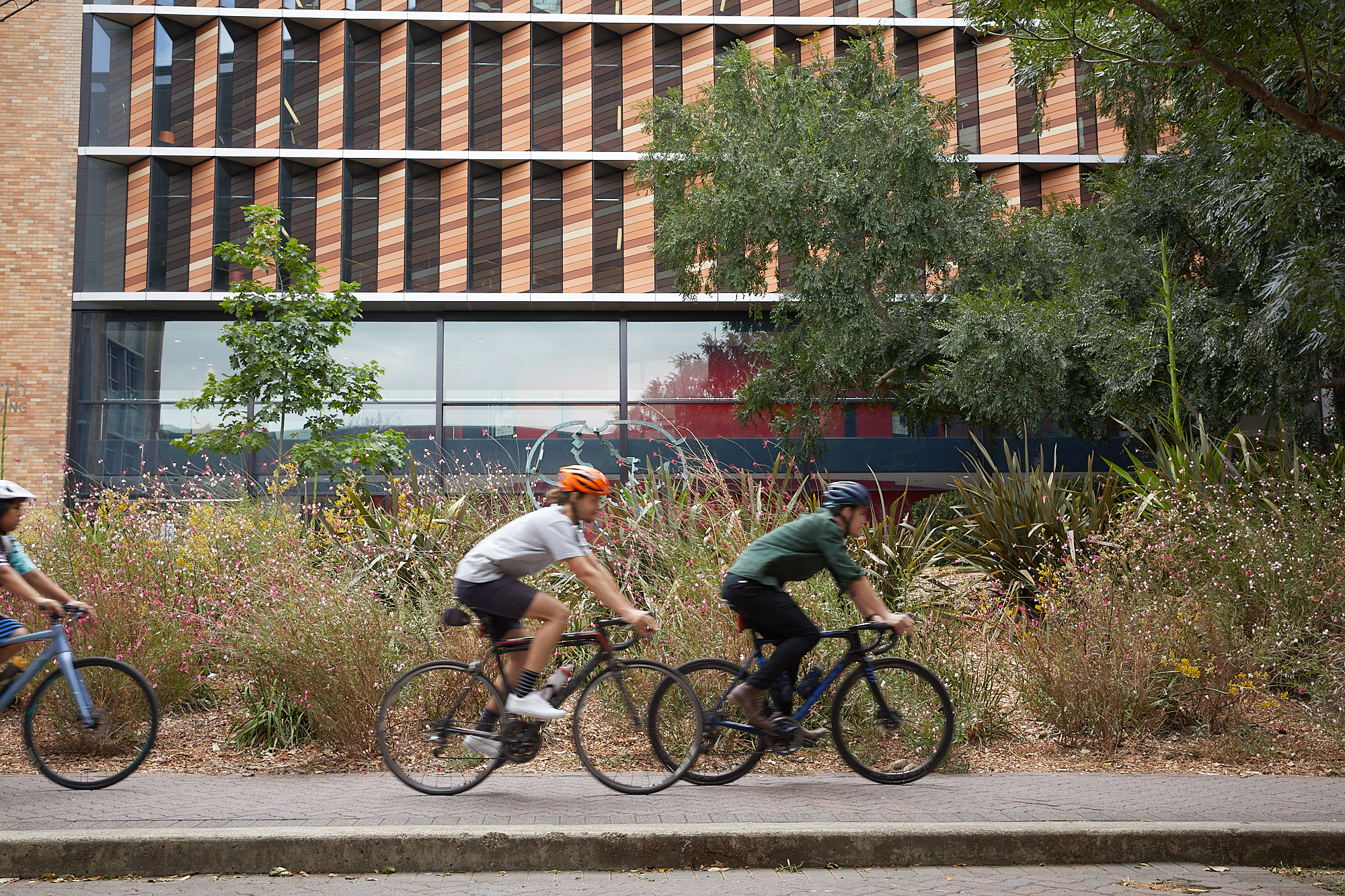Cyclists on campus