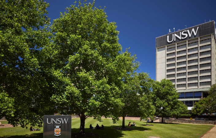 library lawn