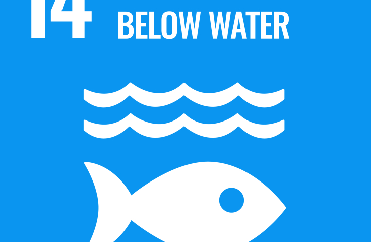 Sustainable development goals_life below water 