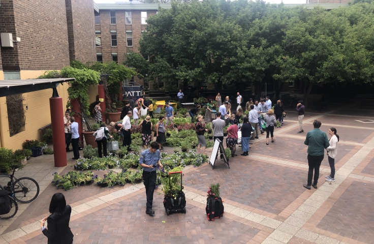 Campus plant sale