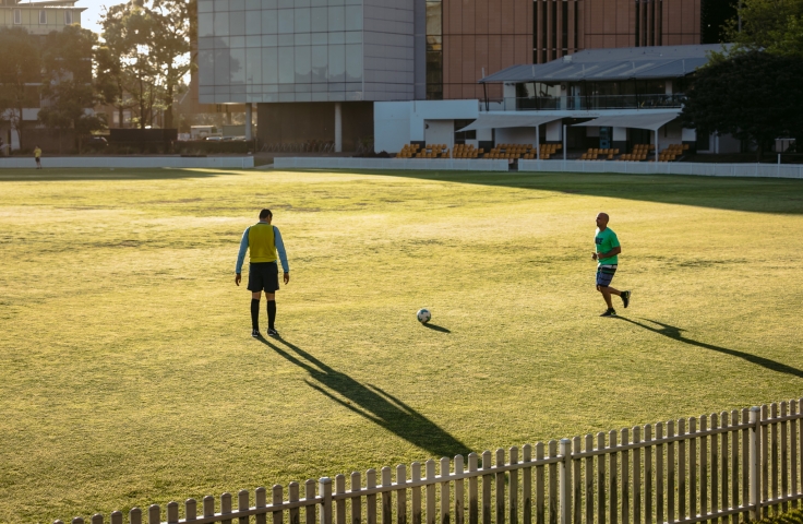 unsw-grass